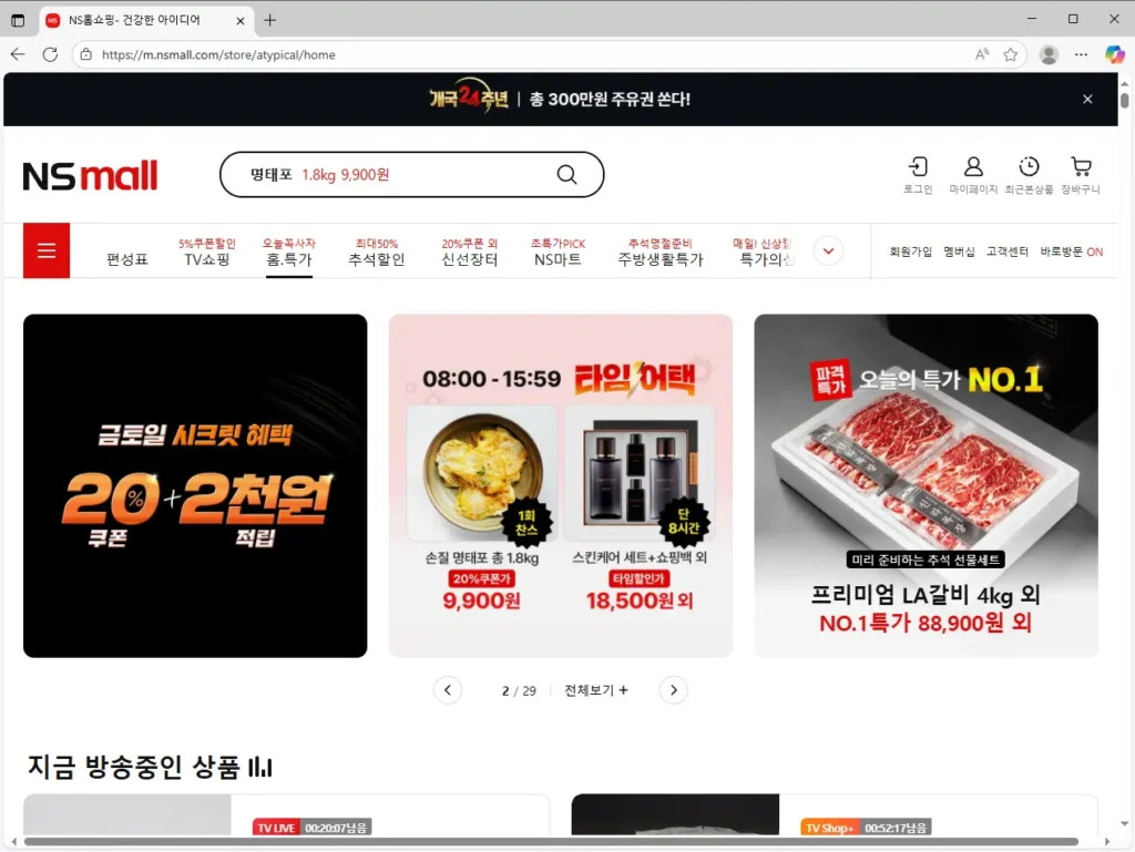 NS홈쇼핑-홈페이지